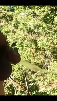 Taste My Piss