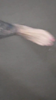 Beach Feet Covered in Wet Sand