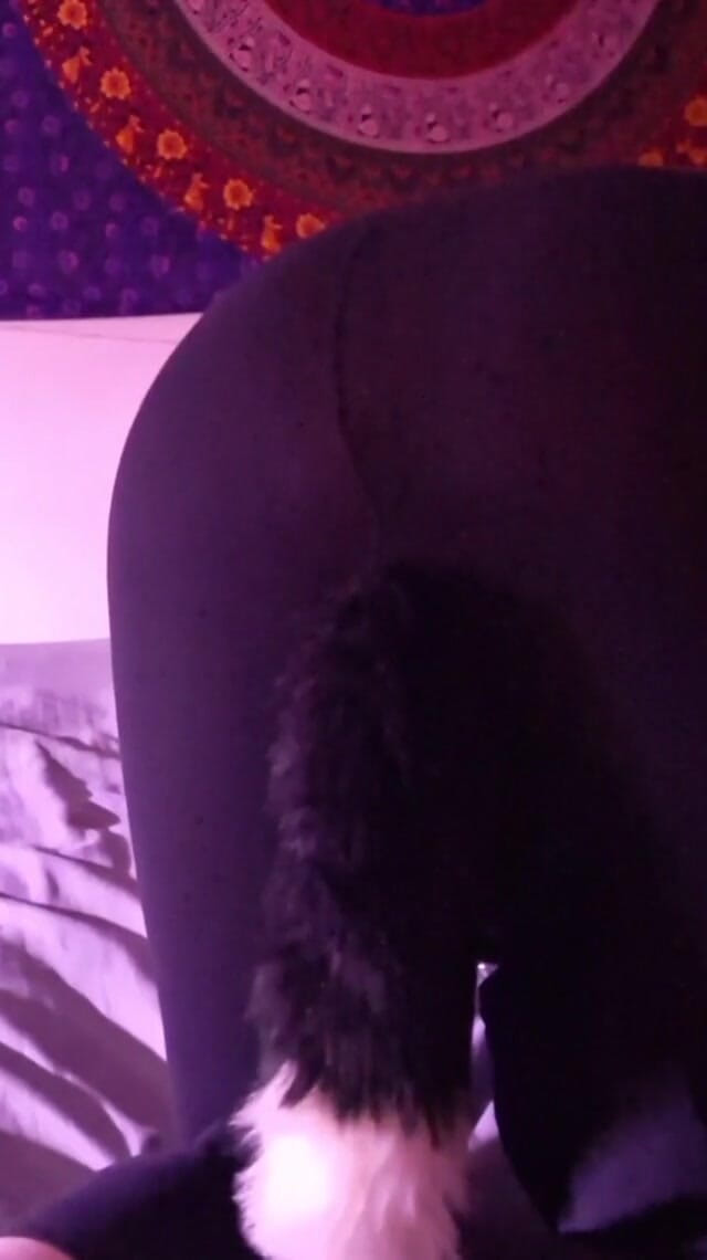 Slap Ass (Robert Swellens studio)