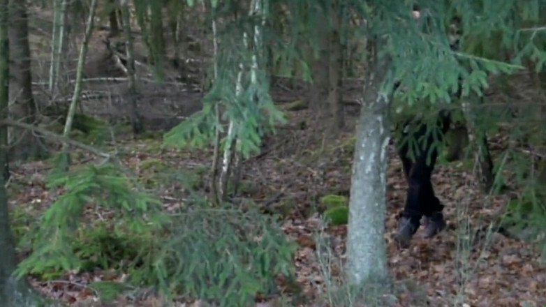 Deutschland porn: Head forester - Scene #05