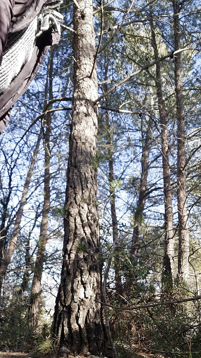 Giodicaprio: 私は娼婦を演じる