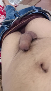 Член дези