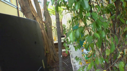 TeenXXX Stories: ラッキー男はピックアップ後にセンセーショナルな金髪の十代を前髪