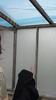 Greenhouse Adventures Part Iv