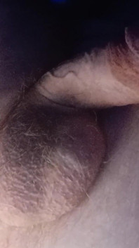 Cum Sniff My Hole