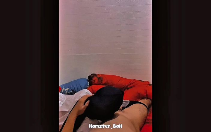 Hamster_Ball: Elle muamele ve sakso
