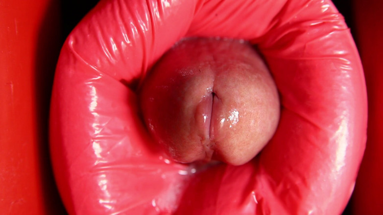 SEXY_GUYBEST: Dinosaurier anal