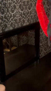 Femdom BDSM Dungeon for Sissy Academy