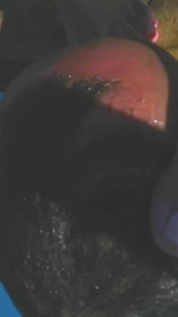 Pool Toe Sucking Slave