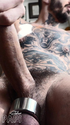 Stallion papi: Jacking off