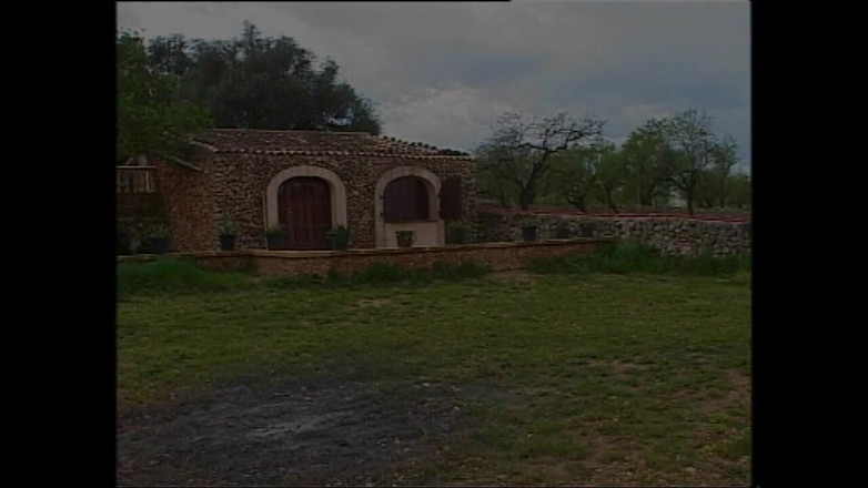 MMV films - The Original: Bella bionda con grandi tette naturali viene scopata duramente all'aperto...