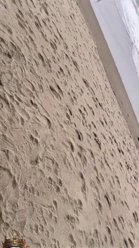 Marley Bee menghisap batang di Pantai Ocean di San Francisco
