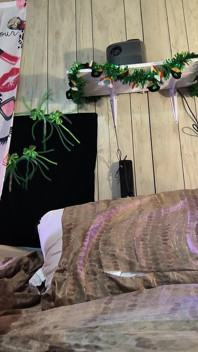 Playboy Bunny humed v panském sídle Hue Hefner dostane skutečné uspokojení