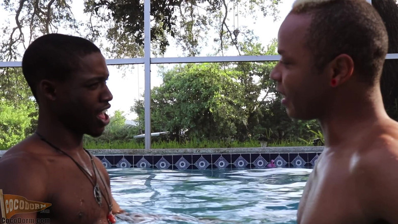CocoDorm: Calvin collins + pupcore - scopami in piscina