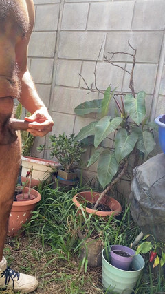 KING_TiBURON: Sólo honění, zatímco se opaluji venku