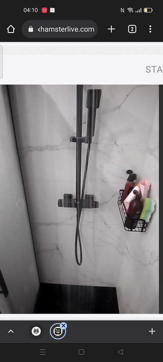 Oh yes plz: Sprchování s mým chatem na webové kameře