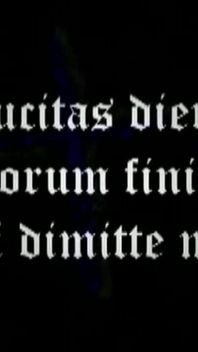 Trailer 376