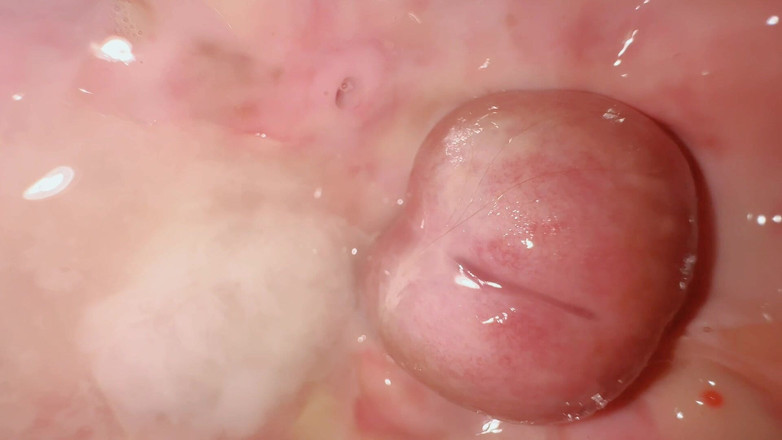 Gigi oficial: Ti ho fatto una mock-up del mio buco del da...