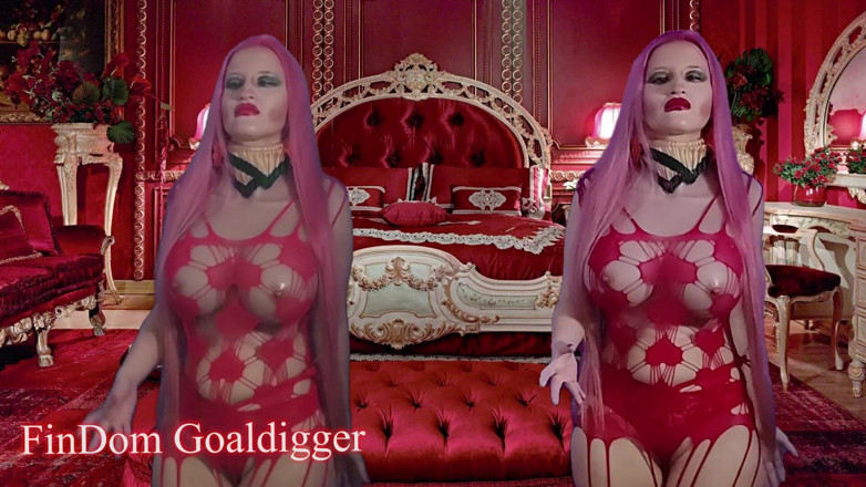FinDom Goaldigger: Goonerland