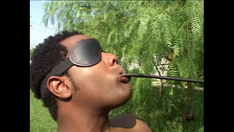 Pornobello: Jocelyn Jayden: Miluju chuť velkého černého penisu