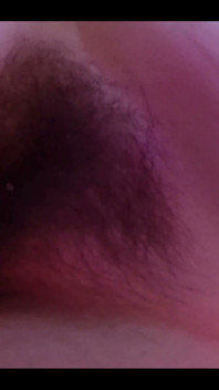 Hairy Pussy