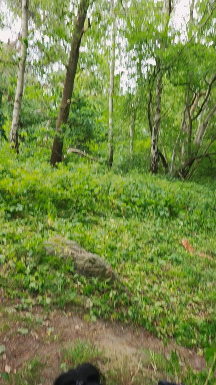 Flashing viv: Horny in Nature