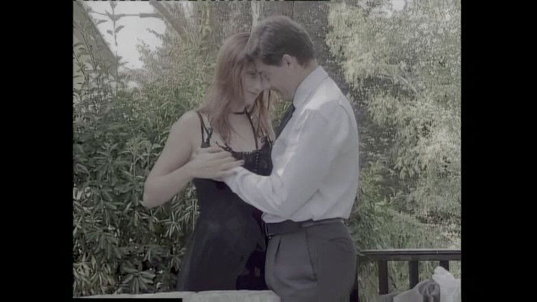 pornitaliangraffiti: Peguam menghadkan pelanggan untuk membayar hutang dengan memberikan keldai