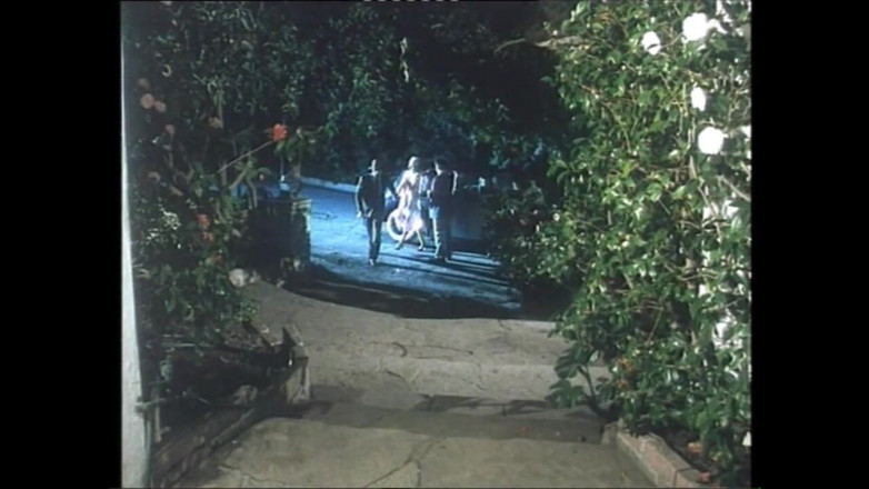 Vintage megastore: 三个毛茸茸的阴户的美丽熟女被大鸡巴性交和射在嘴里