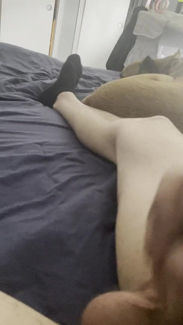 King Loopie: Jerking off beautiful cock
