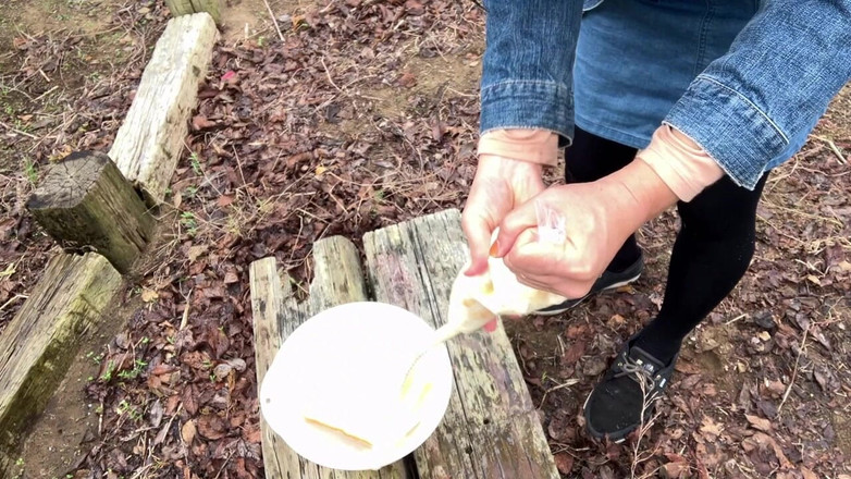 megu2002: Eğitmenden talimatlar no17 ekmek lavmanı yürüyüş bölüm 1