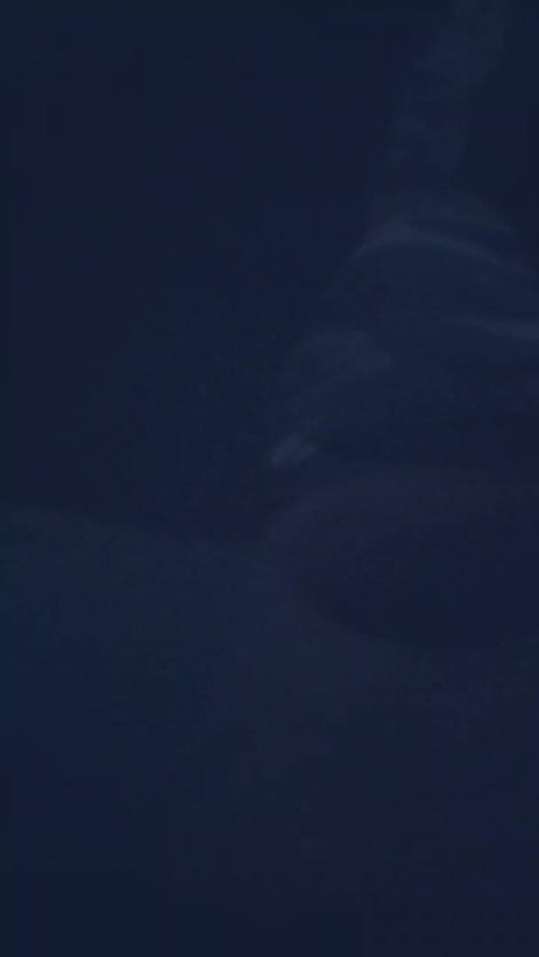 Slutboyben: Slutboyben Cam4 Seyir Domuzu Gece Canlı Kamera4'te emiyor