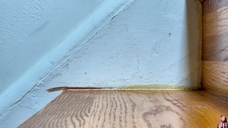 Pink Foxx: 階段の上り下り