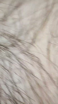 Un femboy naturel mignon saute sur une arête de poisson et jouit devant la caméra