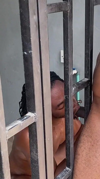 Chupando de la jaula