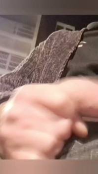 Flashing and Dripping Precum on a Public Bench
