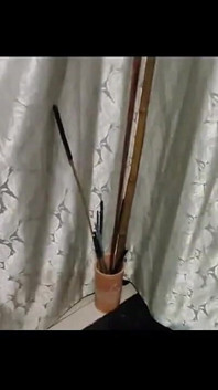 Zvládnuto s holí 1
