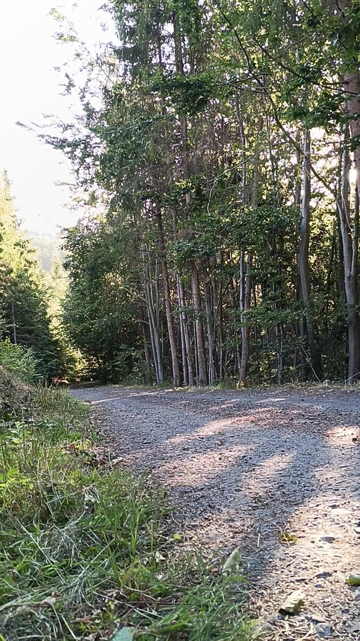 kickerscooter: Scooter-reiterin, masturbation im freien