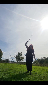 Some Bullwhip Practice in the Park