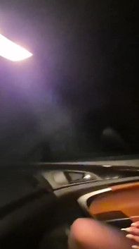 Dogging Date in the Night