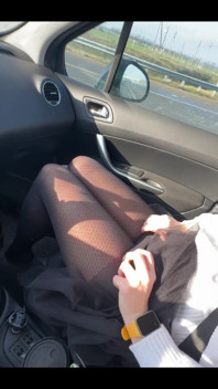 Would You Like Me to Be Your Traveling Companion?