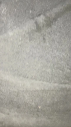 Allice मेरे विशाल लंड की सवारी कर रही है