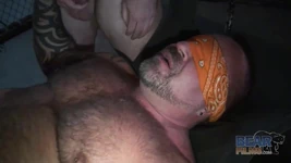 Bearfilms ben chatham और jorgan Stoneman बंधन वर्चस्व दब्बू माचो सामूहिक चुदाई का मजा लेती हैं