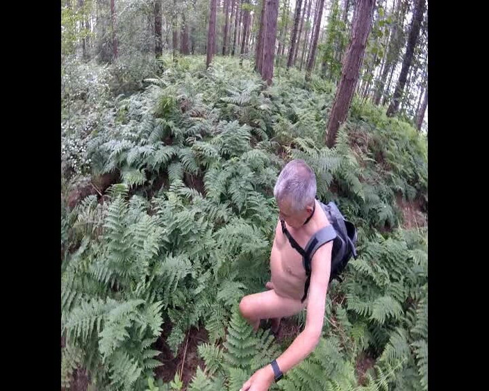 Andy: Just a Walk in the Woods