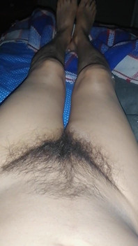 Tamale rậm lông