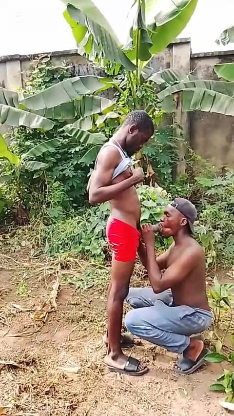 Porchey: Бурит задницу сучки 12-дюймовым членом