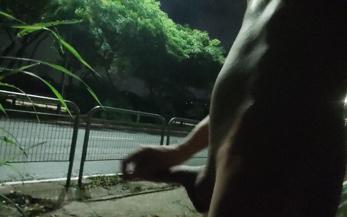 Lekexib: Atrapado desnudo en la avenida