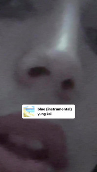 My Flop Id