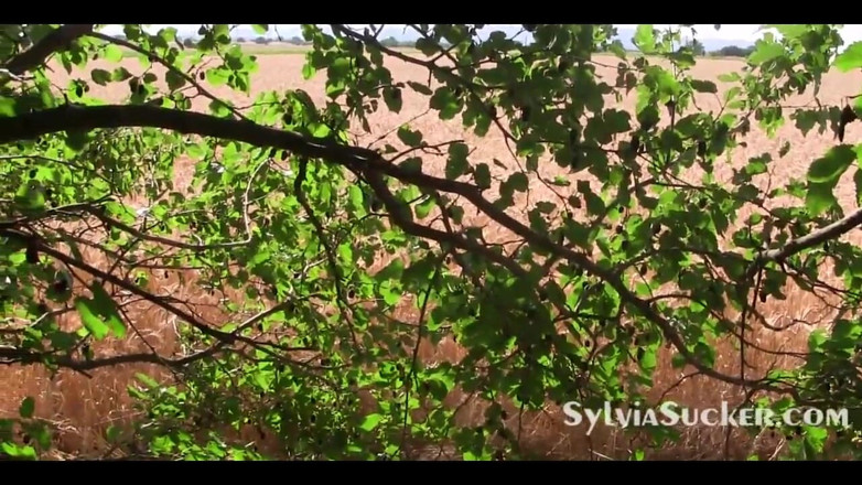 Sylvia Chrystall: أكشن جنسي حصري من إخراجي سيلفيا كريستول أحصل دائما على ما أريد