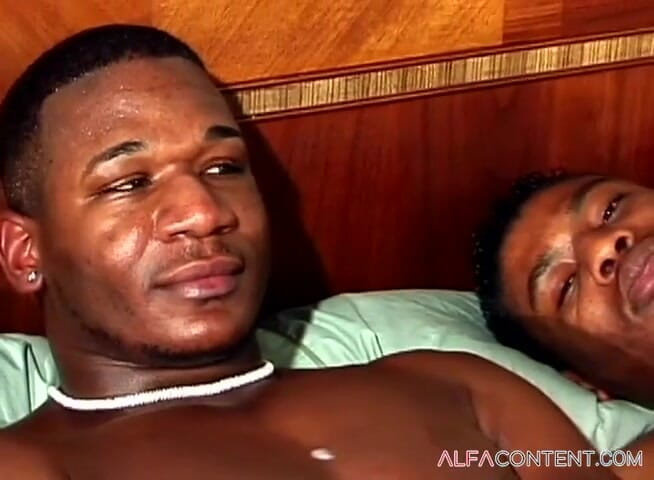 Gay show: Muscolosi gay bbc si scopano a vicenda sul letto