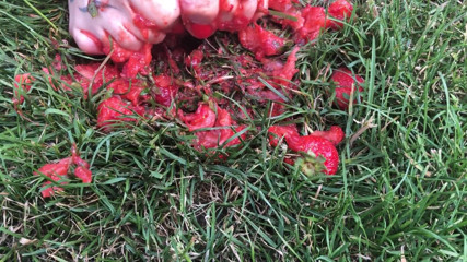 Euro Models: Feet crushing strawberries close up